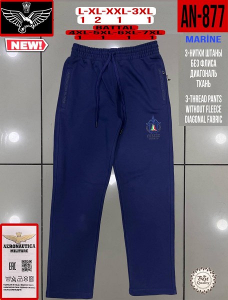 Мужские Спортивные Штаны Aeronautica Militare