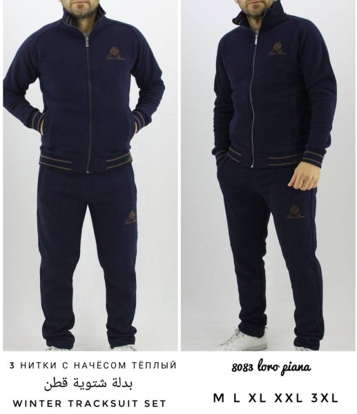 Мужской Спортивный Костюм Loro Piana 