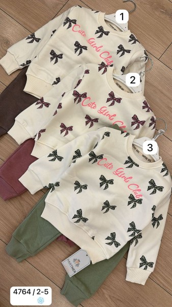 Трикотажный Костюм На Флисе Для Девочки Partner (2-3-4-5лет)