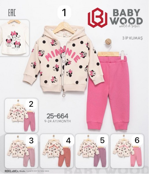 Костюм Тройка Тринитка Для Девочки Baby Wood (9-12-18-24мес.)