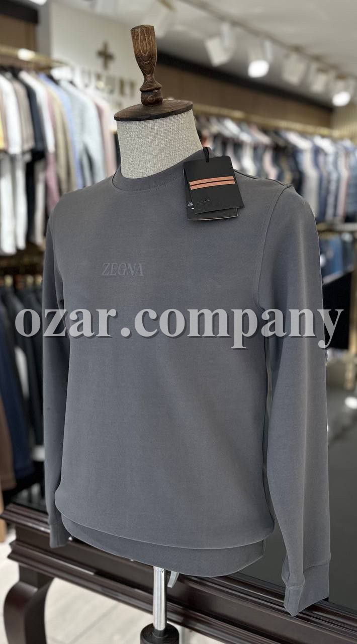 Мужской Свитшот Zegna