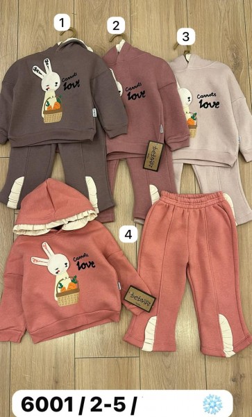 Трикотажный Костюм На Флисе Для Девочки Bebinni (2-3-4-5лет)