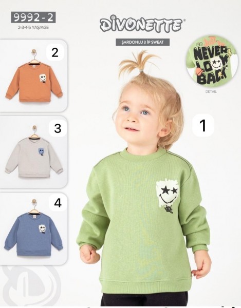 Свитшот Тринитка На Флисе Для Мальчика Divonette (2-3-4-5лет)