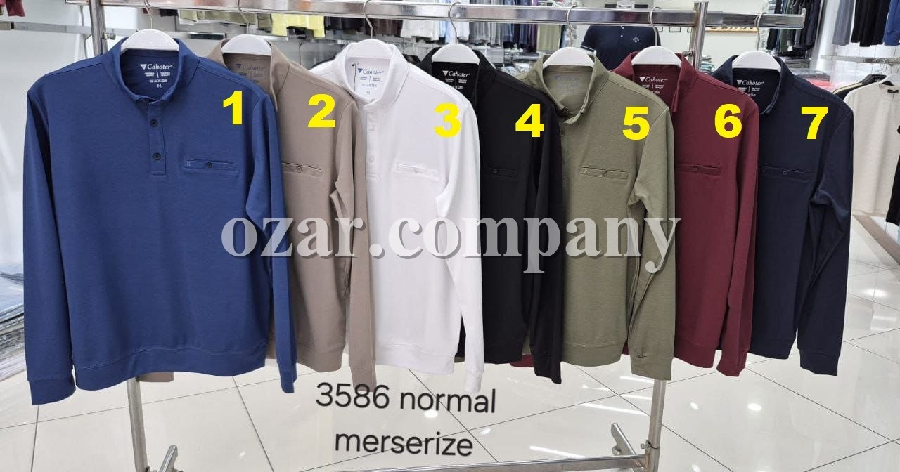 Мужской Джемпер Cahoter