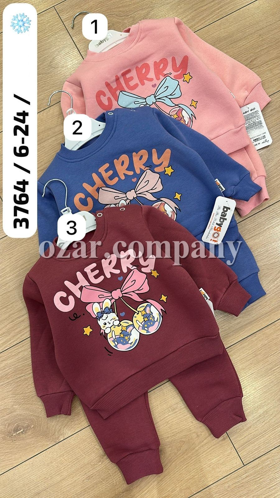 Трикотажный Костюм На Флисе Для Девочки Babygo (6-12-18-24мес.)