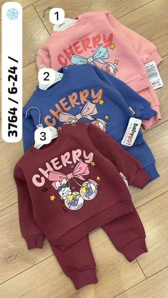 Трикотажный Костюм На Флисе Для Девочки Babygo (6-12-18-24мес.)