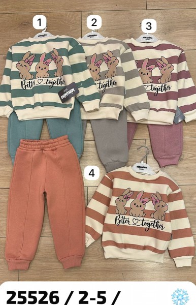 Трикотажный Костюм На Флисе Для Девочки Minamino (2-3-4-5лет)