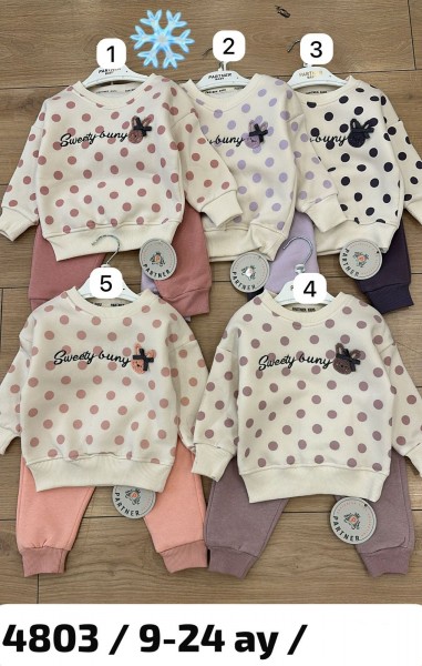 Трикотажный Костюм На Флисе Для Девочки Partner (9-12-18-24мес.)