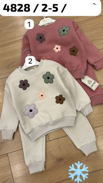 Трикотажный Костюм На Флисе Для Девочки Partner (2-3-4-5лет)