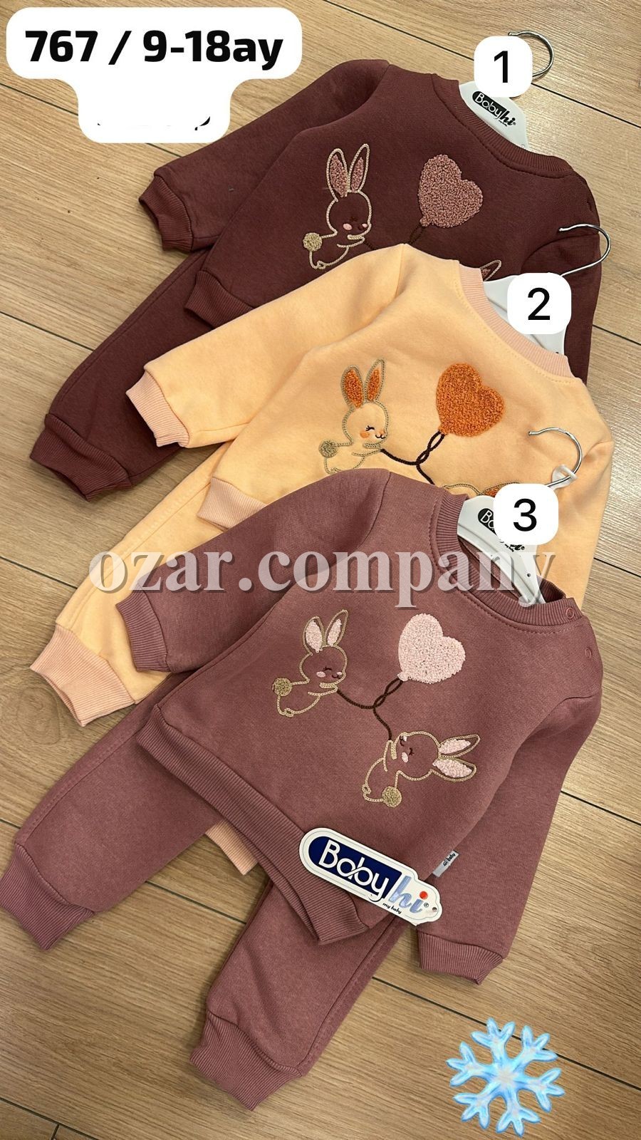 Трикотажный Костюм На Флисе Для Девочки Babyhi (9-12-18мес.)