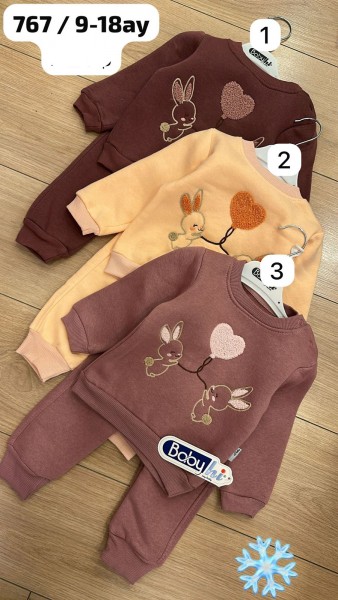 Трикотажный Костюм На Флисе Для Девочки Babyhi (9-12-18мес.) Трикотажный Костюм На Флисе Для Девочки Babyhi (9-12-18мес.)