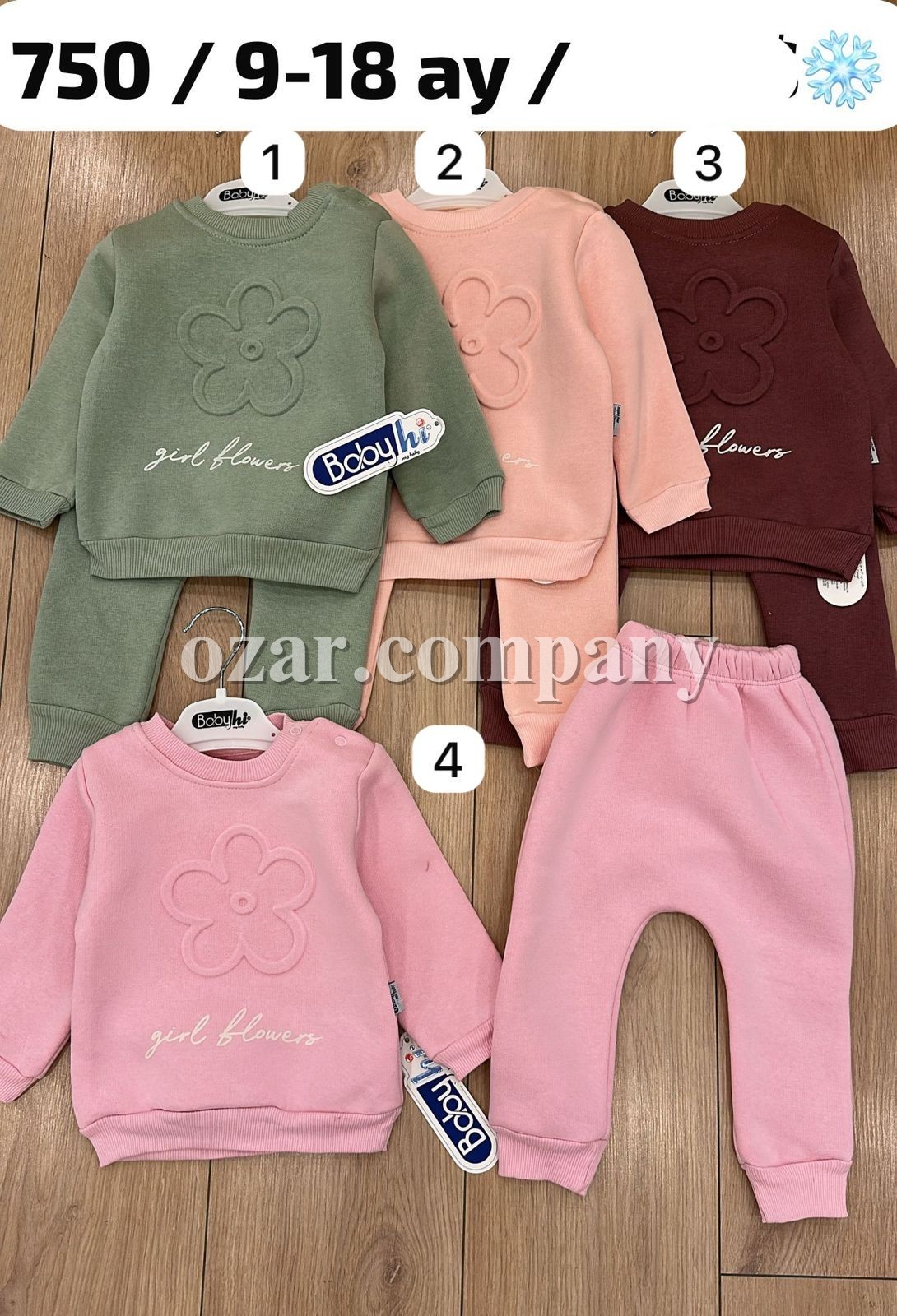 Трикотажный Костюм На Флисе Для Девочки Babyhi (9-12-18мес.) Трикотажный Костюм На Флисе Для Девочки Babyhi (9-12-18мес.)