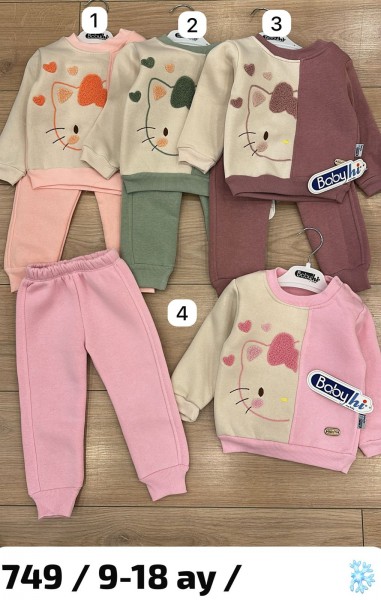 Трикотажный Костюм На Флисе Для Девочки Babyhi (9-12-18мес.) Трикотажный Костюм На Флисе Для Девочки Babyhi (9-12-18мес.)