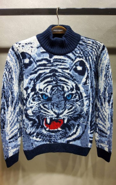 Мужской Свитер Pulltonic