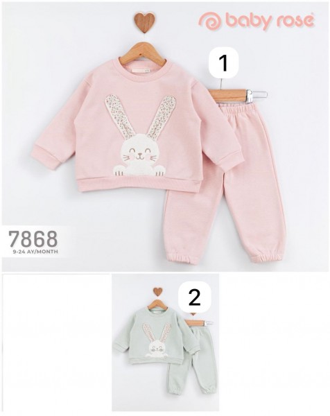 Костюм Для Девочки Baby Rose (9-12-18-24мес.)