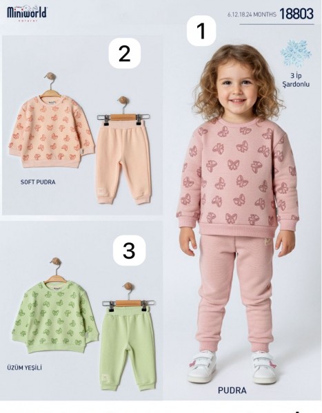 Трикотажный Костюм Тринитка На Флисе Для Девочки Miniworld (6-12-18-24мес.) Трикотажный Костюм Тринитка На Флисе Для Девочки Miniworld (6-12-18-24мес.)