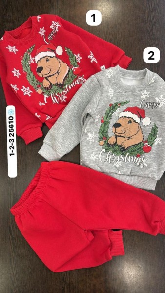 Трикотажный Костюм На Флисе Детский Herry (1-2-3лет) 