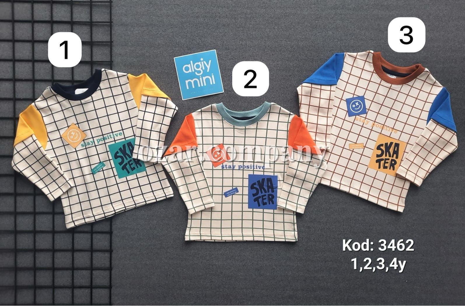Свитшот Для Мальчика Algiy Mini (1-2-3-4лет) 