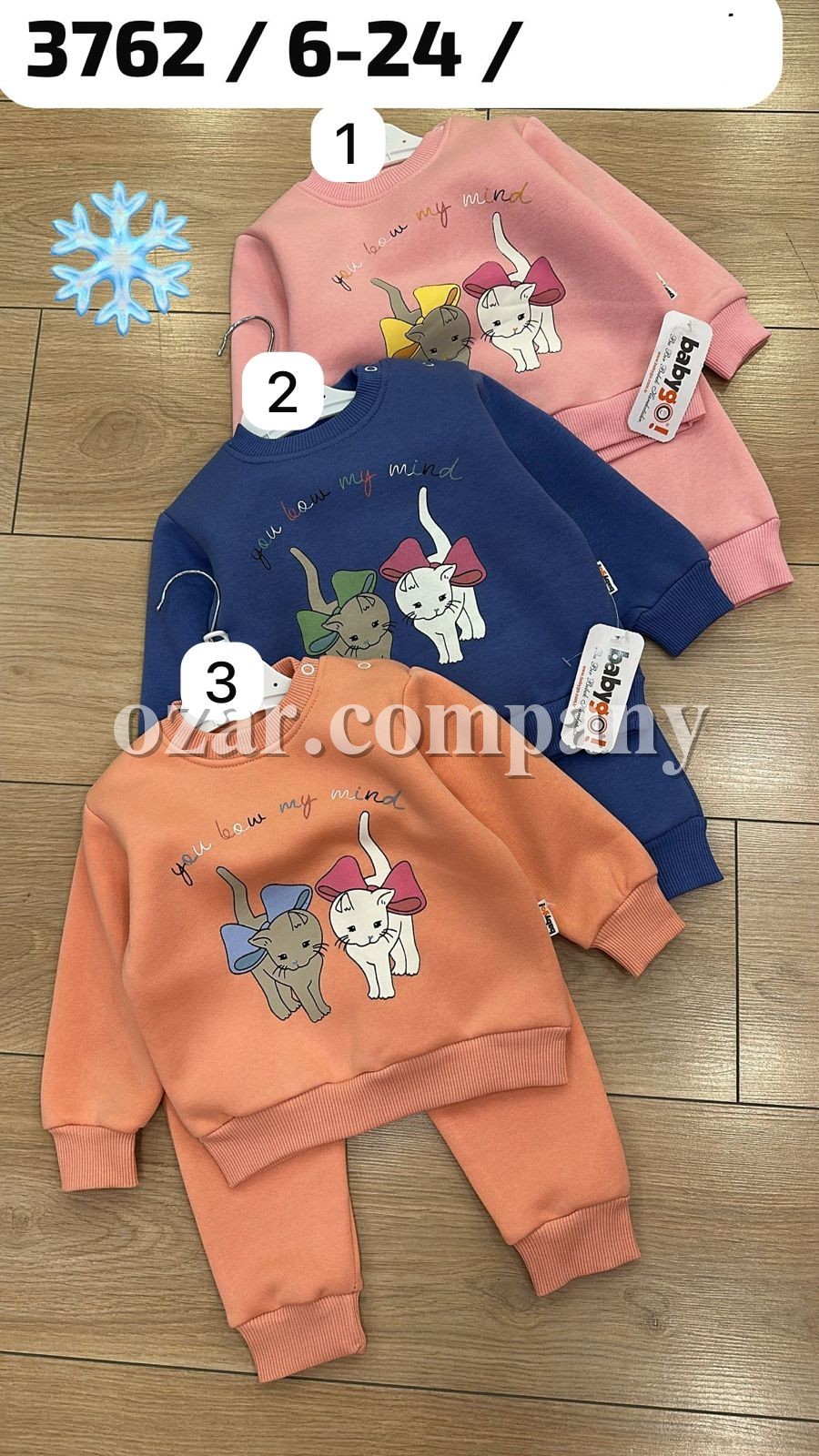 Трикотажный Костюм На Флисе Для Девочки Babygo (6-12-18-24мес.) Трикотажный Костюм На Флисе Для Девочки Babygo (6-12-18-24мес.)