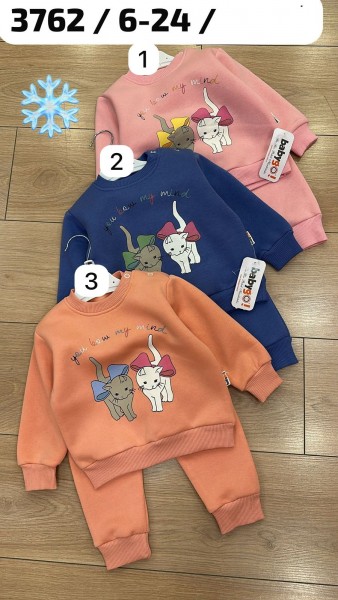 Трикотажный Костюм На Флисе Для Девочки Babygo (6-12-18-24мес.) Трикотажный Костюм На Флисе Для Девочки Babygo (6-12-18-24мес.)