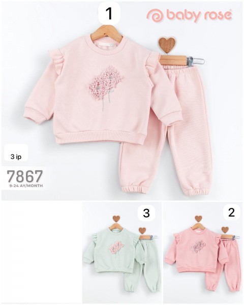 Трикотажный Костюм Тринитка Для Девочки Baby Rose (9-12-18-24мес.) Трикотажный Костюм Тринитка Для Девочки Baby Rose (9-12-18-24мес.)