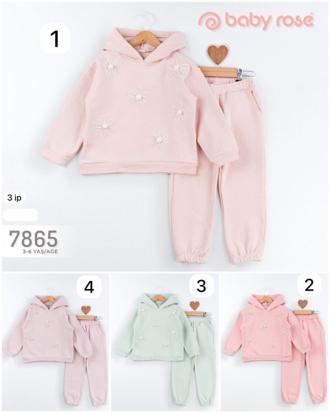 Трикотажный Костюм Тринитка На Флисе Для Девочки Baby Rose (3-4-5-6лет) 