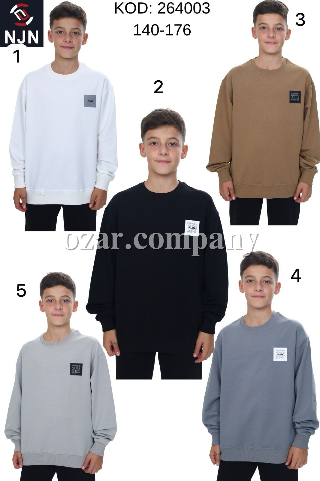 Свитшот Для Мальчика Nujen (10-12-14-16лет) Свитшот Для Мальчика Nujen (10-12-14-16лет)