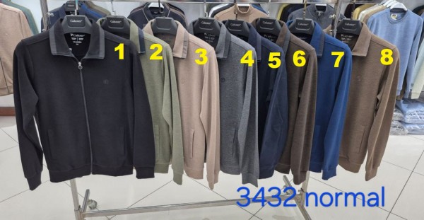 Мужская Мастерка Cahoter Мужская Мастерка Cahoter