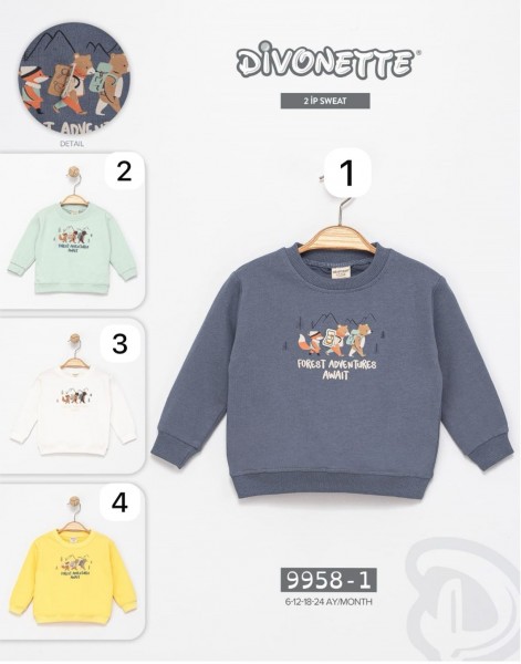 Свитшот Двунитка Для Мальчика Divonette (6-12-18-24мес.)