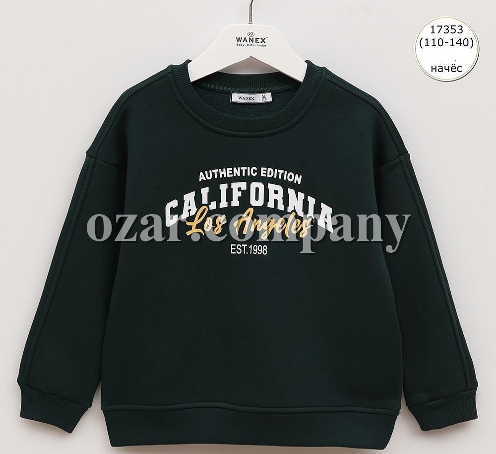 Свитшот На Флисе Для Мальчика Wanex (5-6-7-8-9-10лет) 