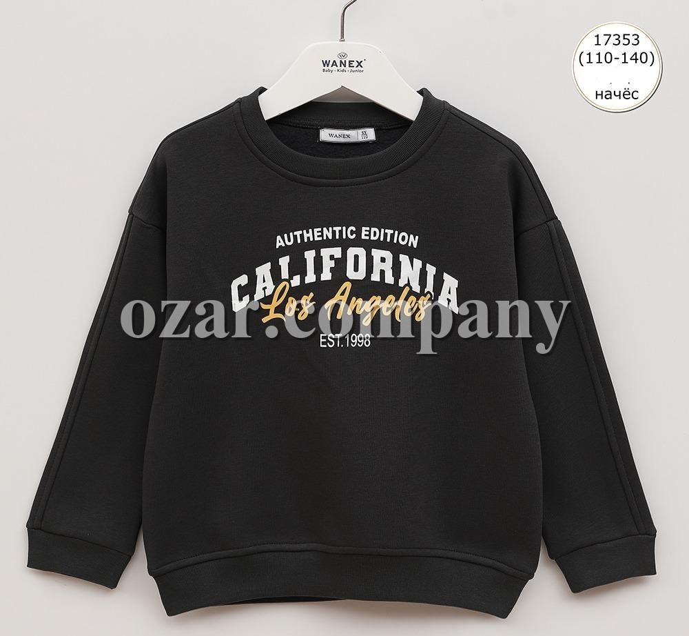 Свитшот На Флисе Для Мальчика Wanex (5-6-7-8-9-10лет) 
