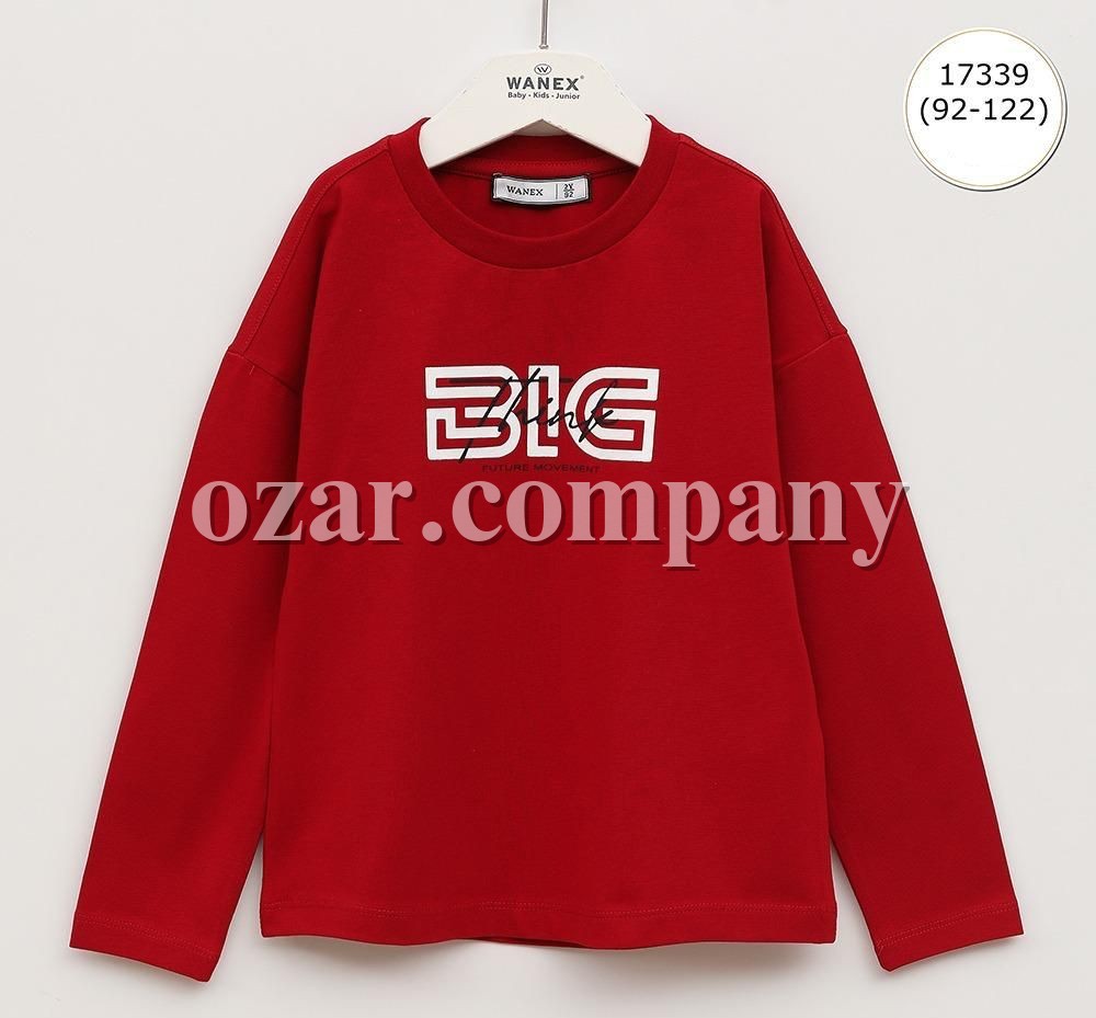 Свитшот Для Мальчика Wanex (2-3-4-5-6-7лет) 