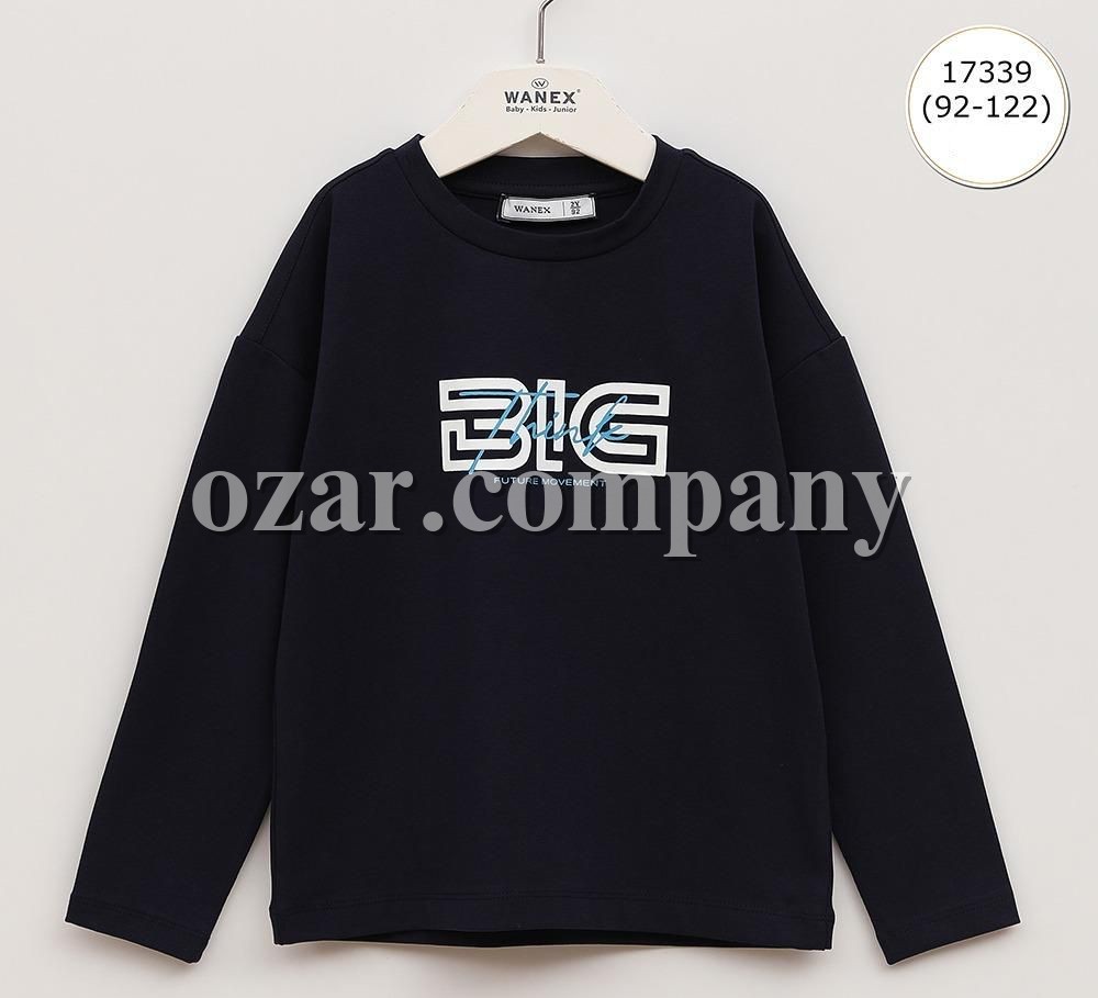 Свитшот Для Мальчика Wanex (2-3-4-5-6-7лет) 