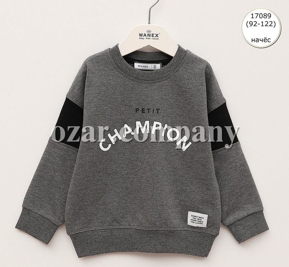 Свитшот На Флисе Для Мальчика Wanex (2-3-4-5-6-7лет) 