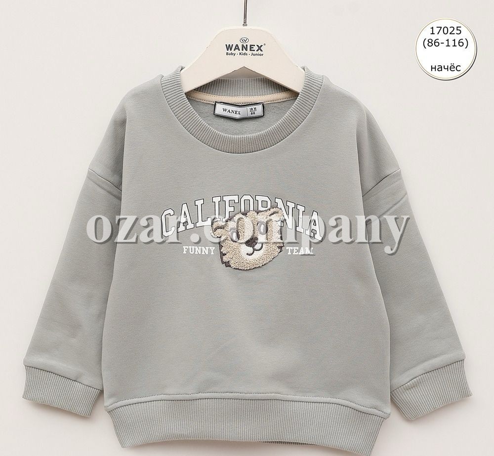 Свитшот На Флисе Для Мальчика Wanex (1.5-2-3-4-5-6лет) 