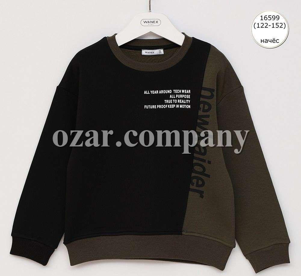 Свитшот На Флисе Для Мальчика Wanex (7-8-9-10-11-12лет) 