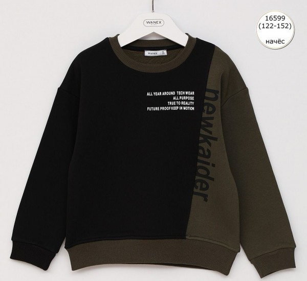 Свитшот На Флисе Для Мальчика Wanex (7-8-9-10-11-12лет) 
