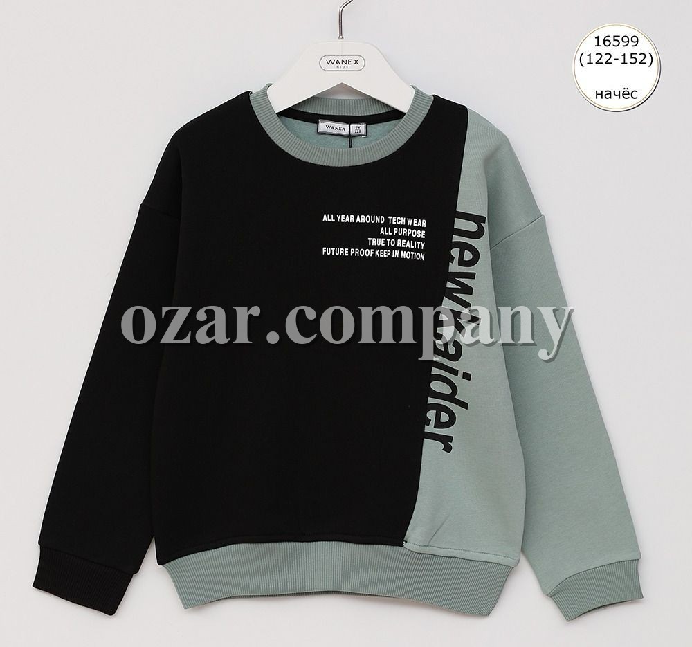 Свитшот На Флисе Для Мальчика Wanex (7-8-9-10-11-12лет) 