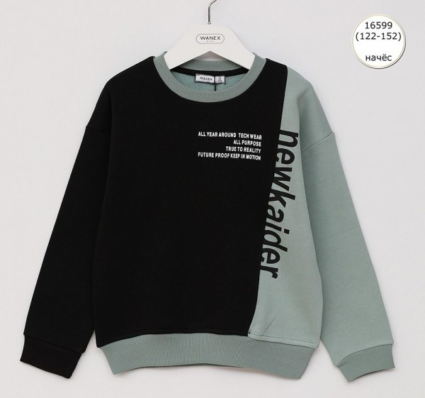 Свитшот На Флисе Для Мальчика Wanex (7-8-9-10-11-12лет) 