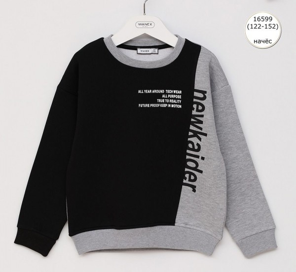 Свитшот На Флисе Для Мальчика Wanex (7-8-9-10-11-12лет) 