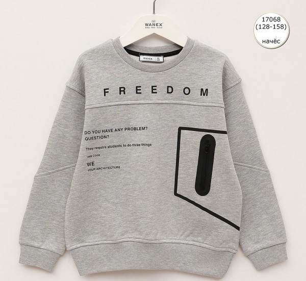 Свитшот На Флисе Для Мальчика Wanex (8-9-10-11-12-13лет) 