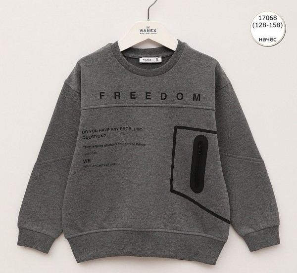 Свитшот На Флисе Для Мальчика Wanex (8-9-10-11-12-13лет) 