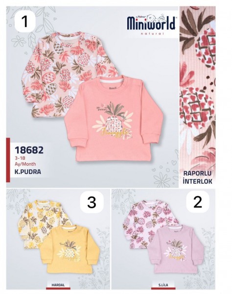 Пара Свитшотов Для Девочки Miniworld (3-6/6-9/9-12/12-18мес. по 2шт.)