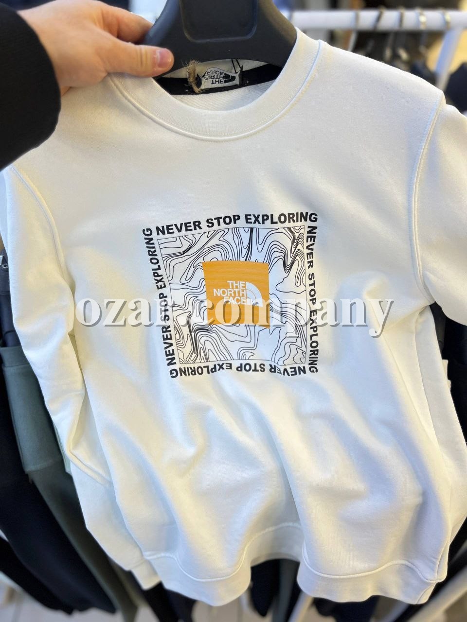 Мужской Свитшот The North Face