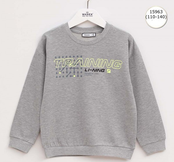 Свитшот Для Мальчика Wanex (5-6-7-8-9-10лет) 