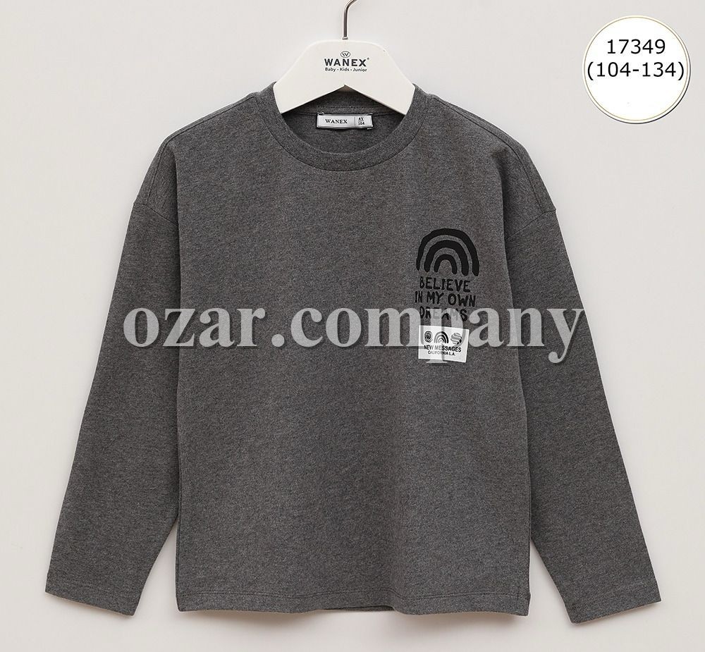 Свитшот Для Мальчика Wanex (4-5-6-7-8-9лет) 