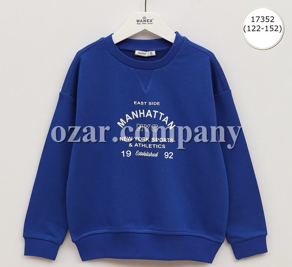 Свитшот Для Мальчика Wanex (7-8-9-10-11-12лет) 