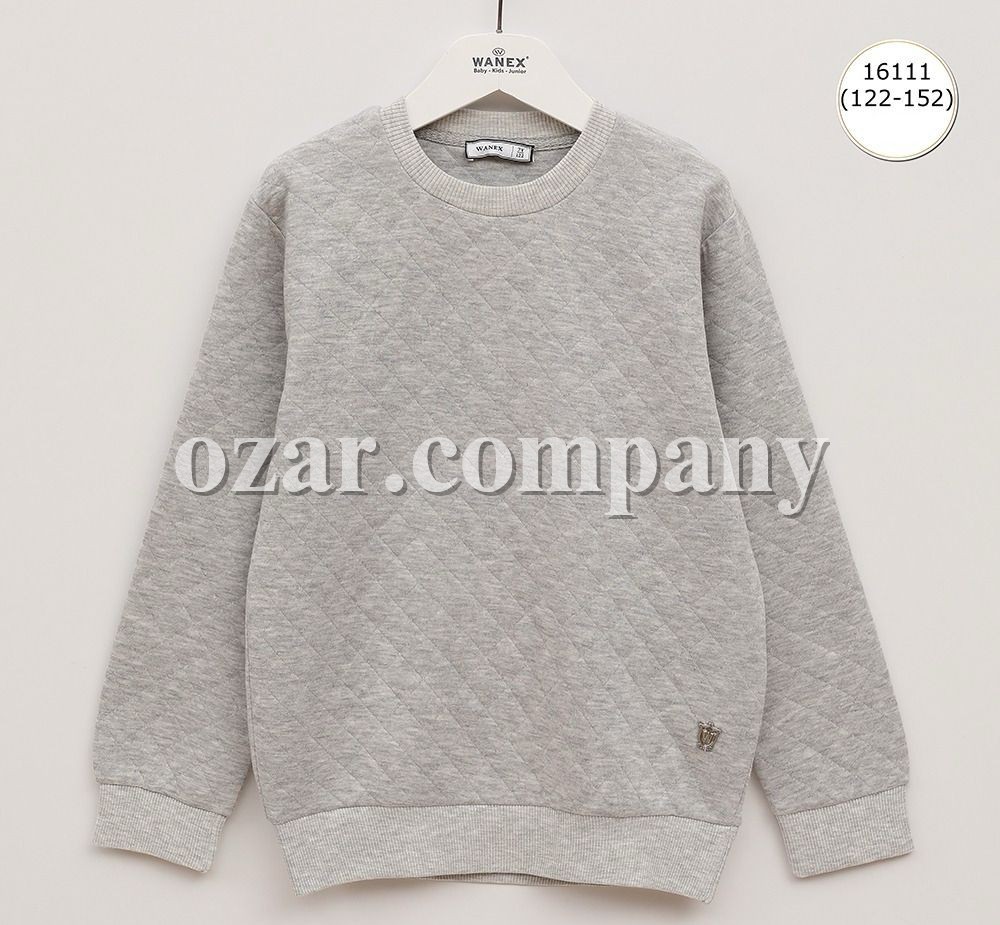 Свитшот Для Мальчика Wanex (7-8-9-10-11-12лет) 