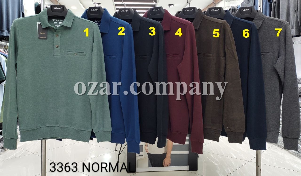 Мужской Джемпер Cahoter