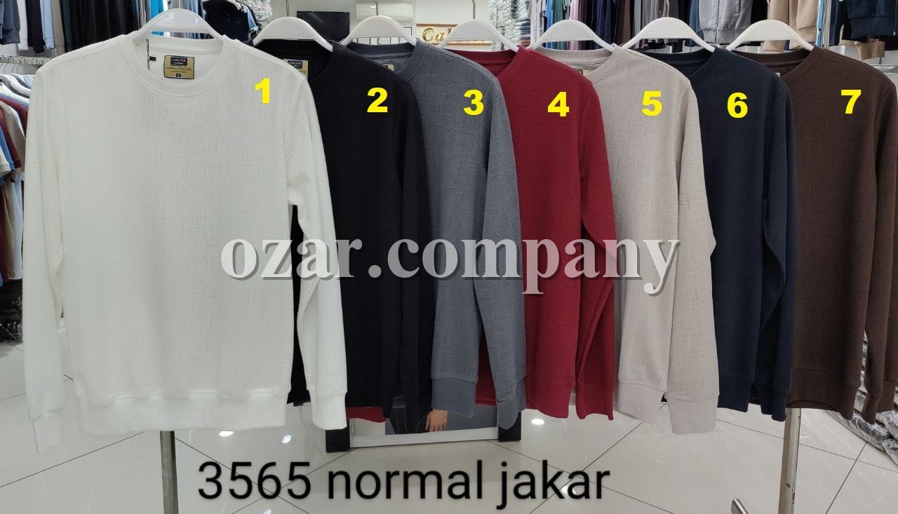 Мужская Футболка На Длинный Рукав Cahoter